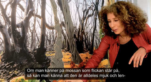 resonans_video_nadja