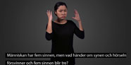 info_liten_teckenspråk